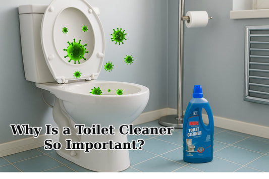 Why Is a Toilet Cleaner So Important?